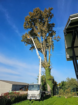 Jdp pro élagage intervient avec nacelle pour tout vos besoins