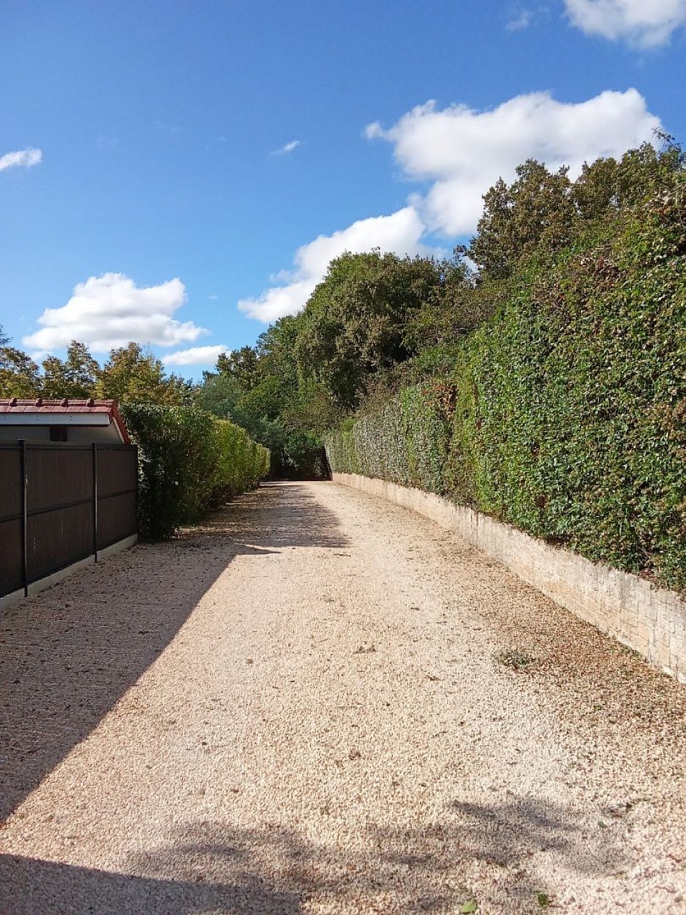 On prend soin de votre haie dans le taillage